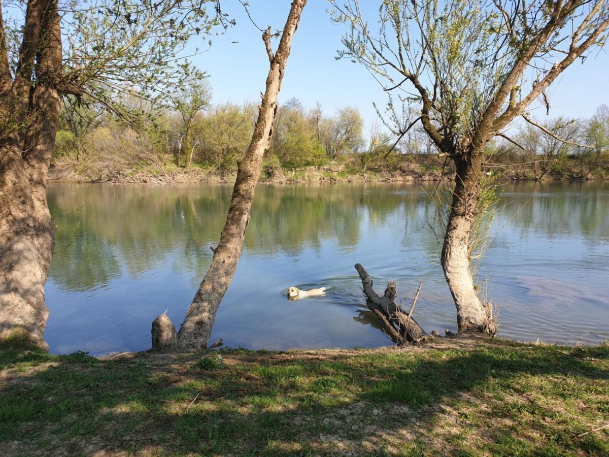 Guest House Studio Apartman Marina - With Jacuzzi, Free Parking, Pet Friendly Karlovac Luaran gambar